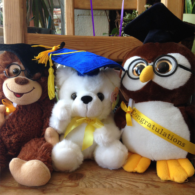 Prom Stuffed Animals