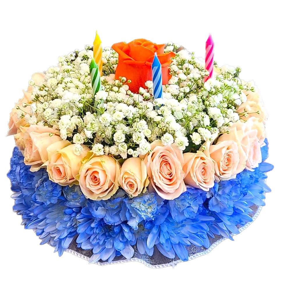 Birthday Cake Blue