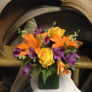 Colors of the Tropics