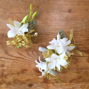 Duet Dendrovium